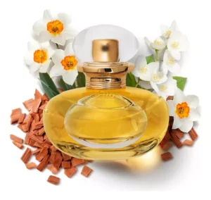 Lily le Parfum