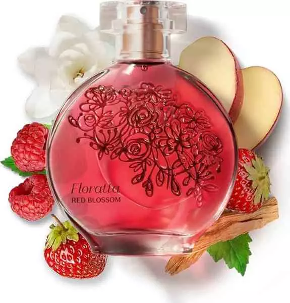 floratta: perfumes para balada