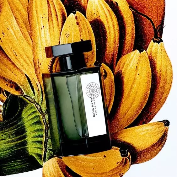 frascos de perfumes
