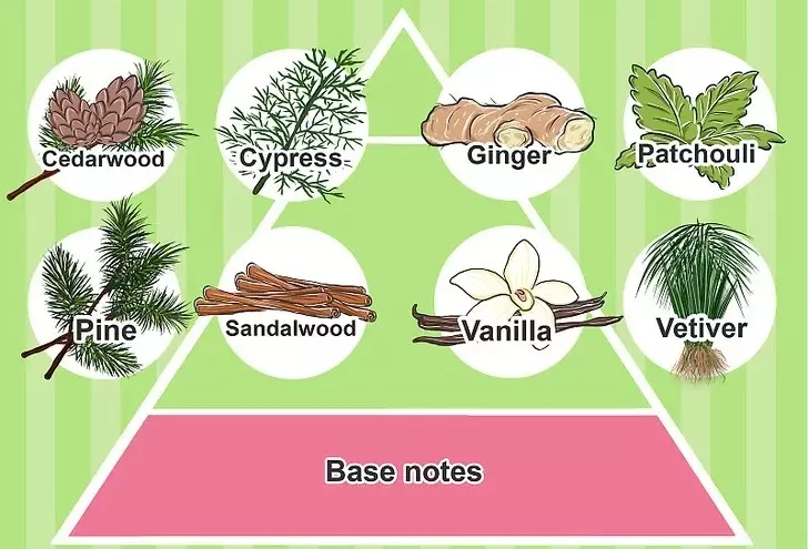 Notas de Perfume