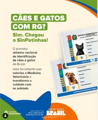 rg para pet