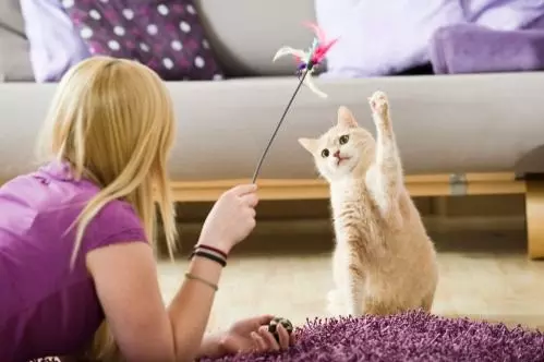 Ganhar Dinheiro na Internet